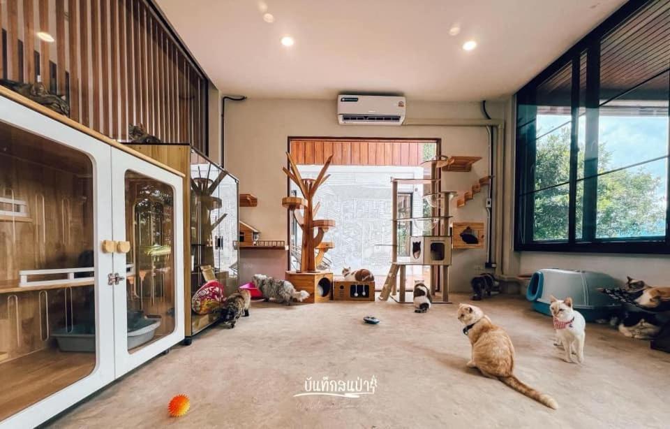 Amaze At Themyth Apartamento Mae Rim Exterior foto